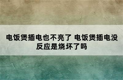 电饭煲插电也不亮了 电饭煲插电没反应是烧坏了吗